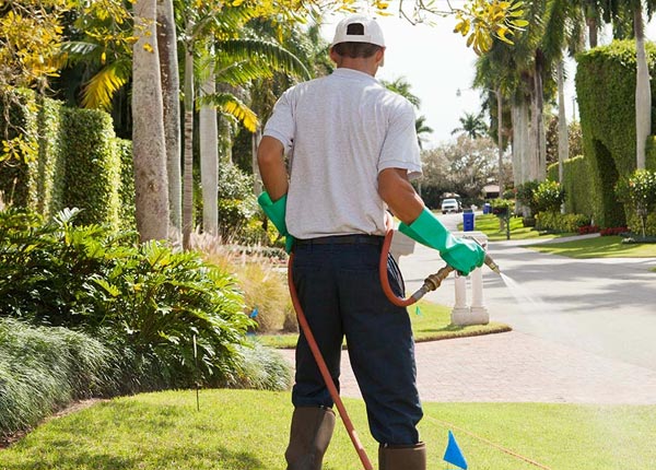 About California City CA Pest Control